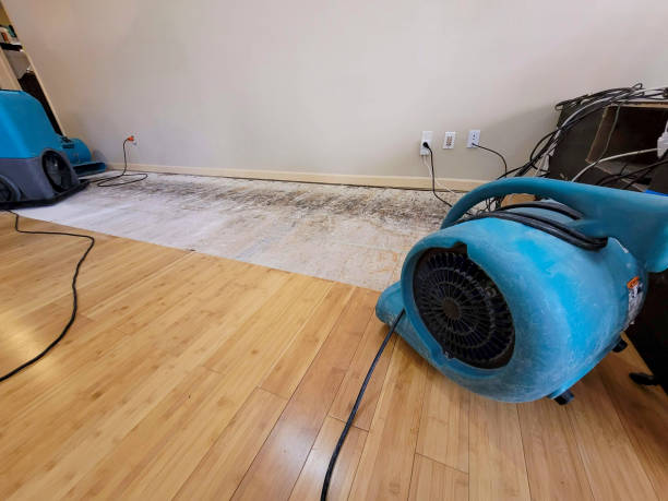 Professional Water Damage Repair technician working in Brilliant, AL